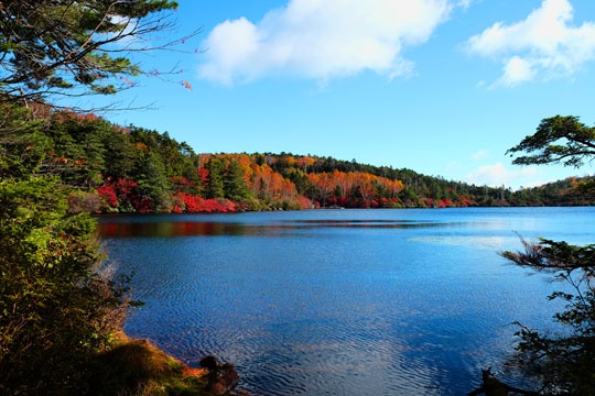 DSCF9388.jpg