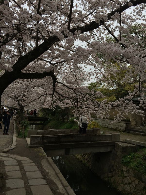 rblog-20150403202934-01.jpg