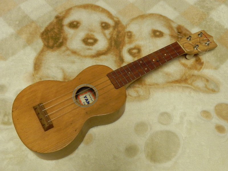 DSCN3277.JPG