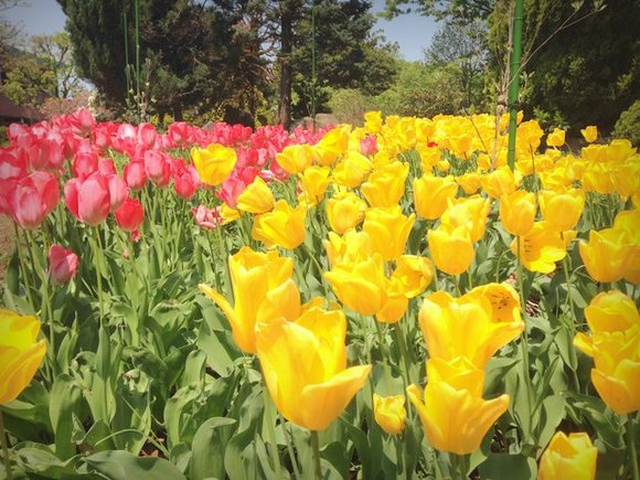 ラテン の記事一覧 音楽三昧 A 楽天ブログ