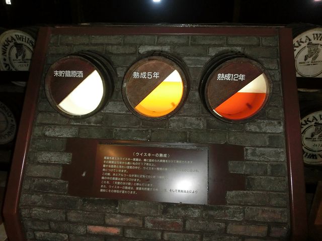 CIMG9532.jpg