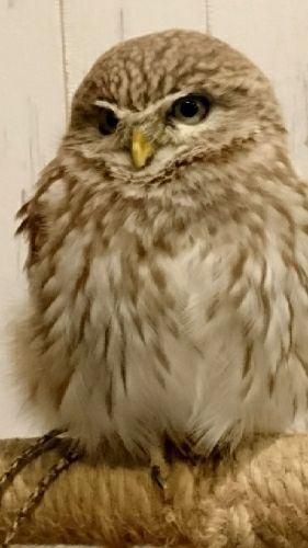 rblog-20180307015039-00.jpg