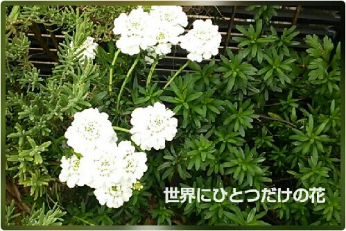 rblog-20160426232615-00.jpg