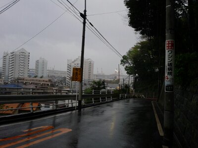 ワシン坂2013年４月・２