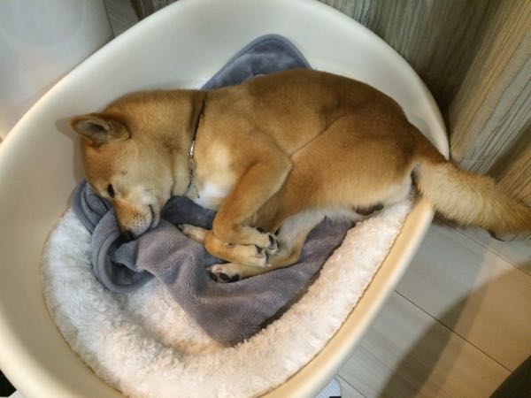 rblog-20160421235954-02.jpg