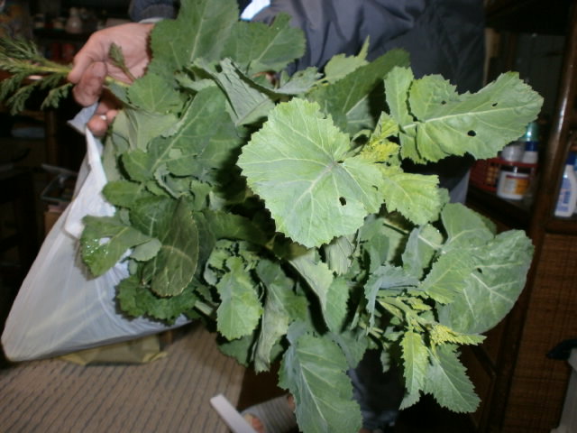 P3100507.JPG