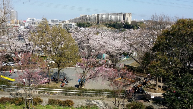 Ａ公園から臨む東側風景