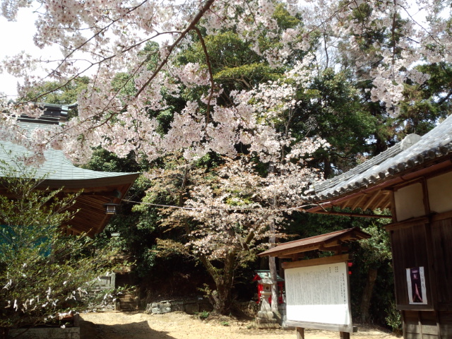 八倉姫神社3.jpg