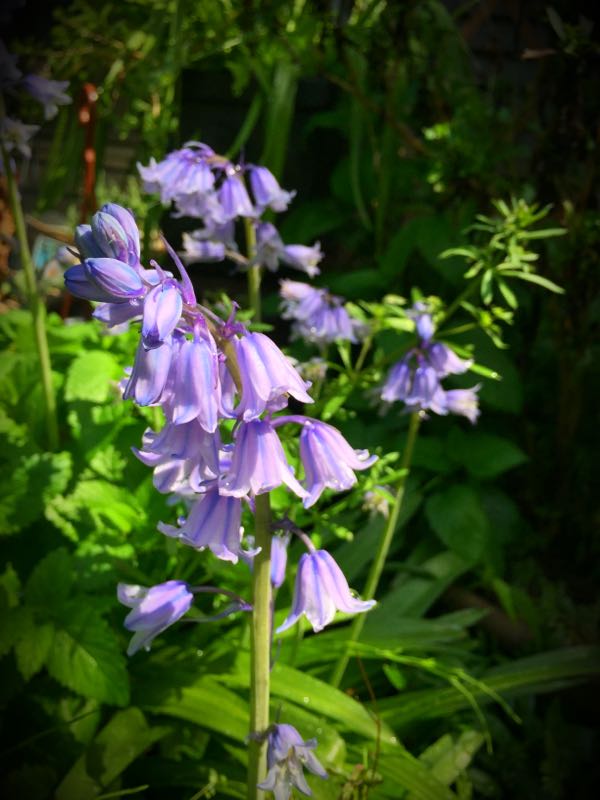 rblog-20150428203749-01.jpg