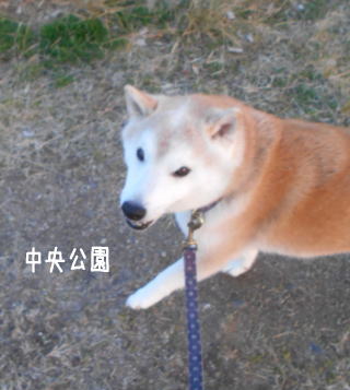 0313夕1.jpg