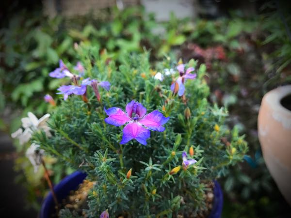 rblog-20161128164954-01.jpg