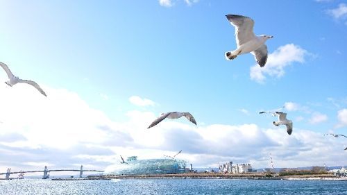 rblog-20171230215012-03.jpg