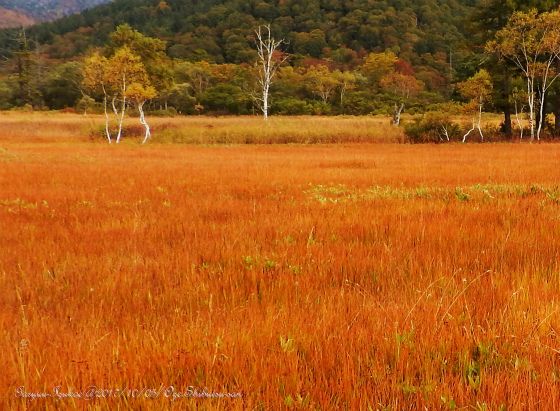 至仏山２ 草紅葉 我流ａのブログ 楽天ブログ