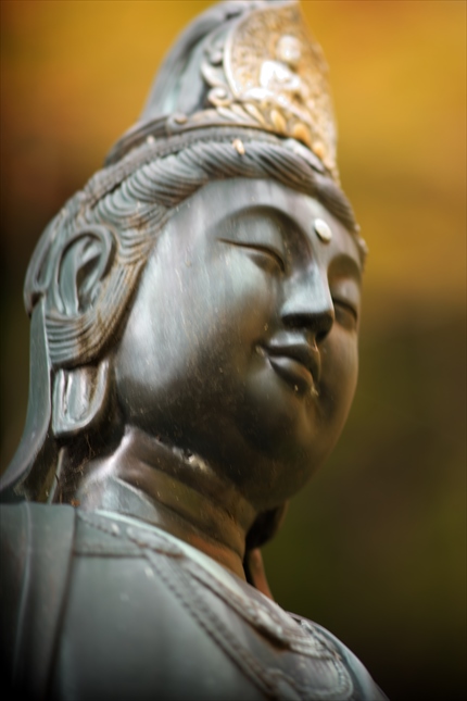 DSC08611 - コピーA.jpg