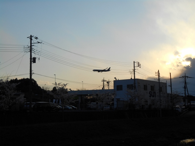 009 (640x480).jpg