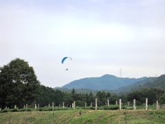 IMG_0447.JPG