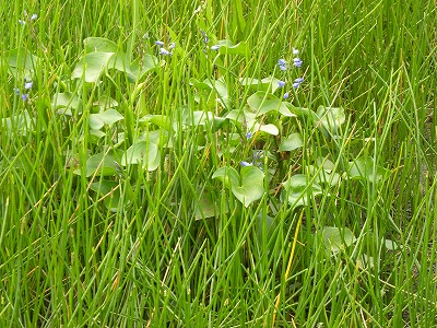 DSCN9902.jpg