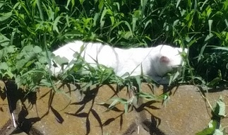 20160819_123811.jpg