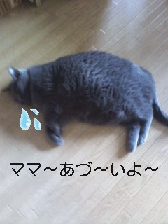 CAF2ZG0W.jpg
