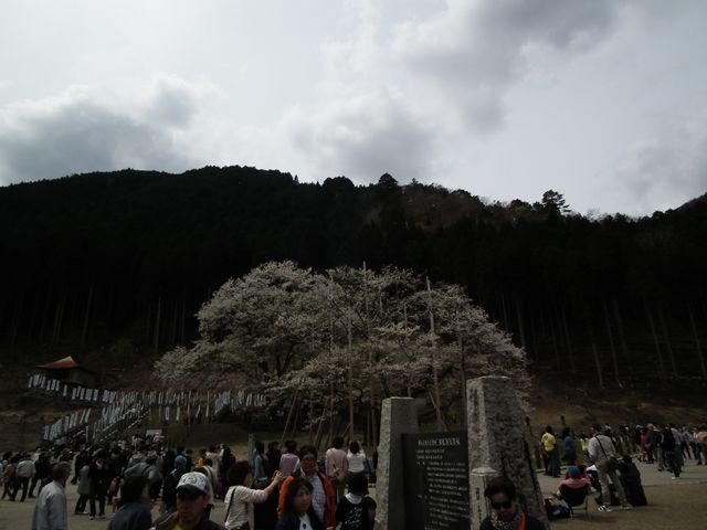 DSCF3719.JPG