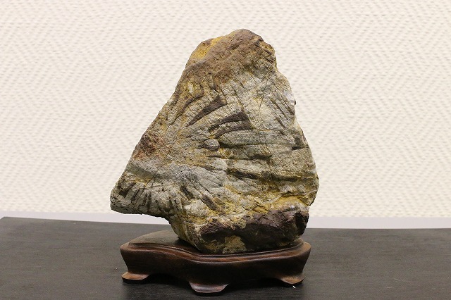 2017　第47回　大垣　石誠会　名石展