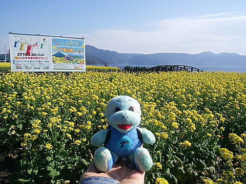 IMG_20160109_121532.jpg