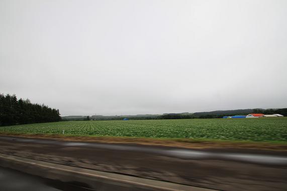 105.JPG