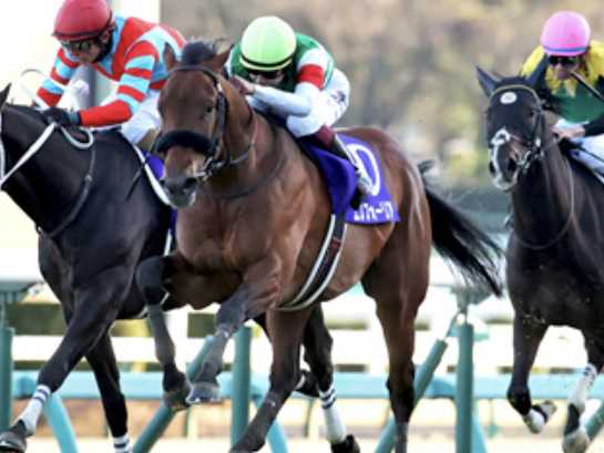 【競馬選択と集中】第89回東京優駿日本ダービー 『歴史は繰り返す編』 | 【競馬選択と集中】上り坂生活2022 - 楽天ブログ
