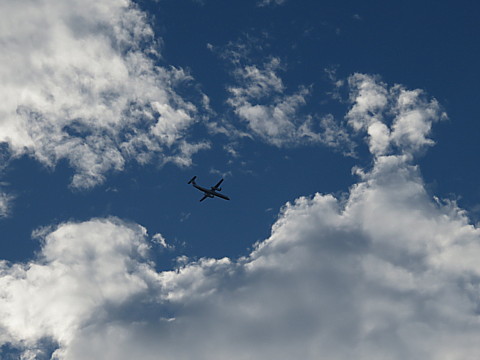IMG_6511.jpg