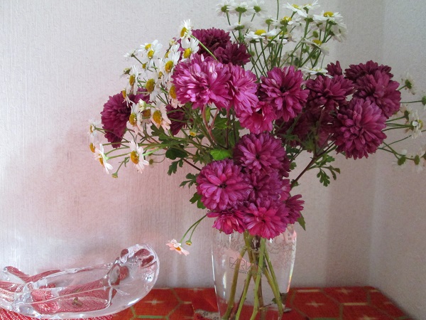 2014-11-11 13.54.12.jpg