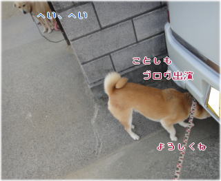 0101トム4.jpg