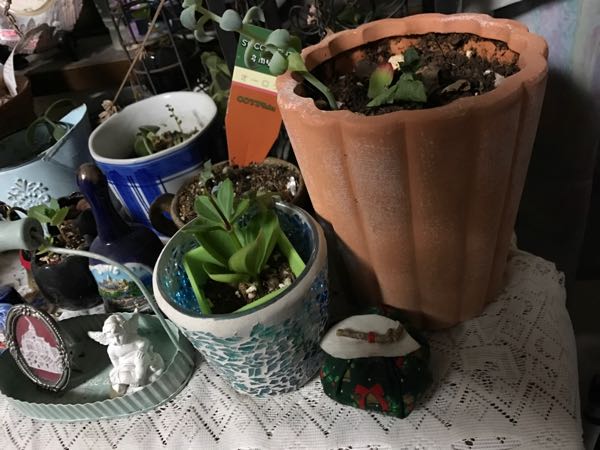 rblog-20161225185816-05.jpg
