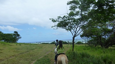 susumu2