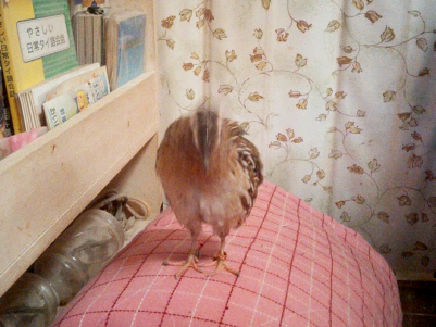 20150920(4)