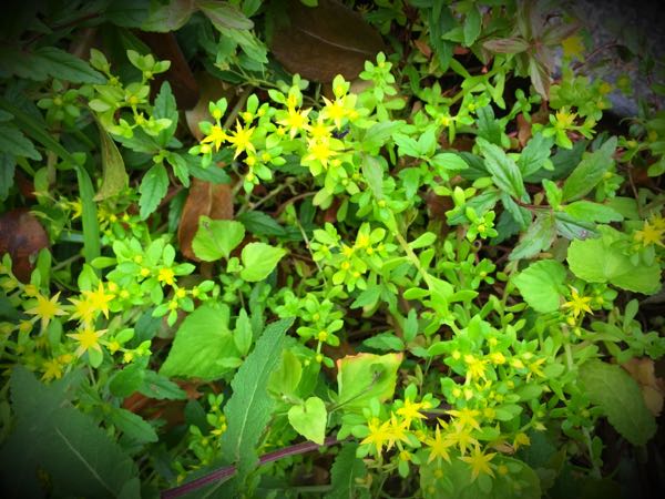 rblog-20160527132530-02.jpg