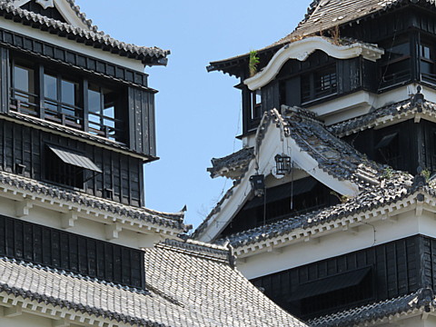 IMG_4807.jpg
