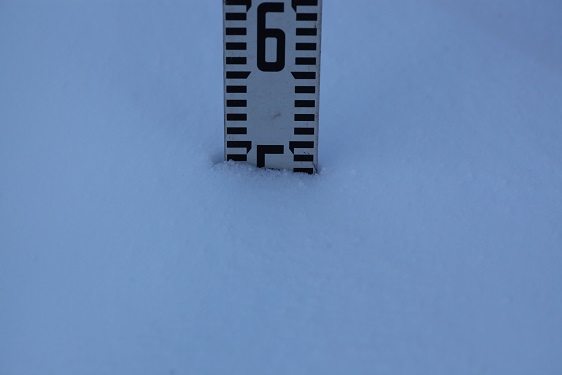 IMG_2560.JPG
