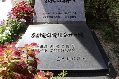 IMG_0600.jpg