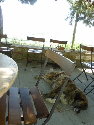 142 (300x400).jpg