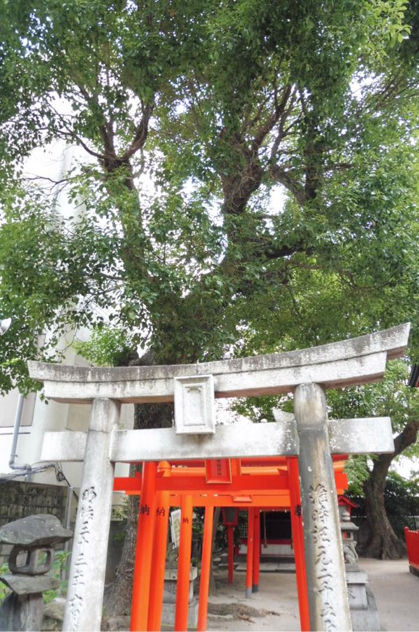 福岡の水鏡天満宮 ちりつも 私の運気上昇活動 楽天ブログ