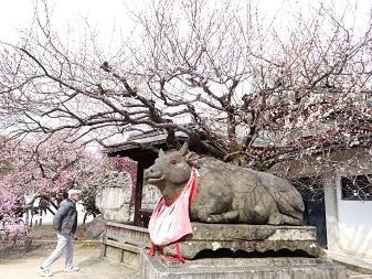 北野３.jpg
