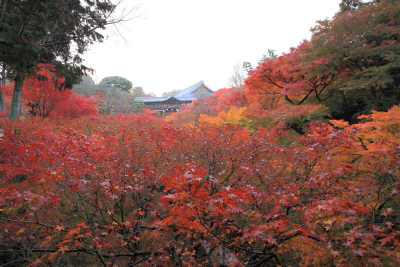 東福寺_002.jpg