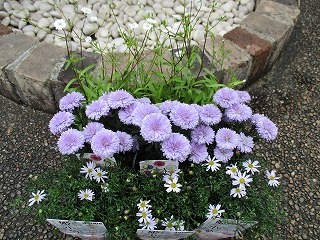 IMG_0492ss.jpg