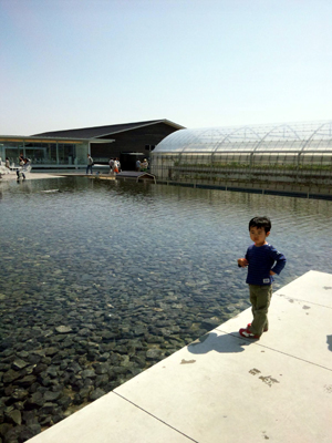 アクアイグニス２