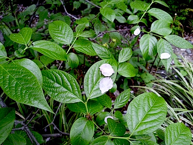 120426_131934.jpg