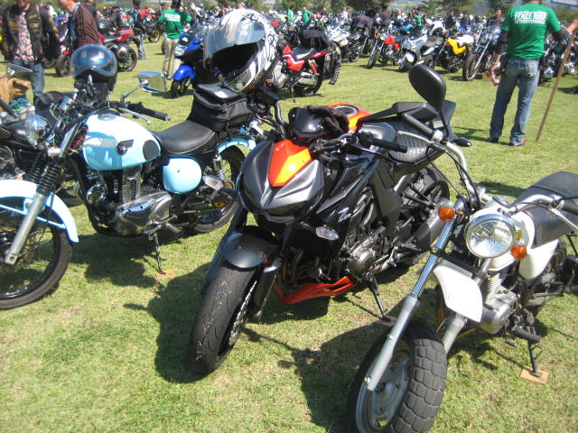 IMG_3666.JPG