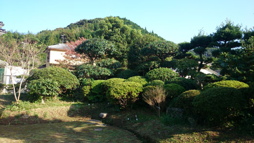 8967.jpg