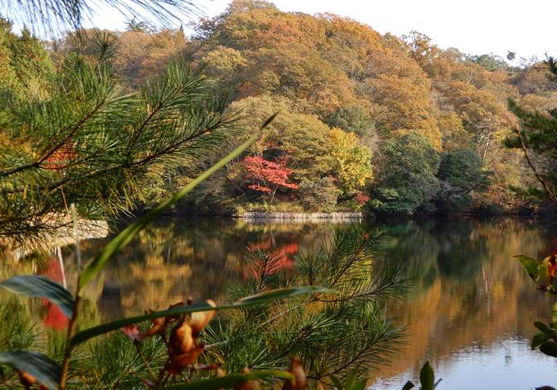 洞川湖5