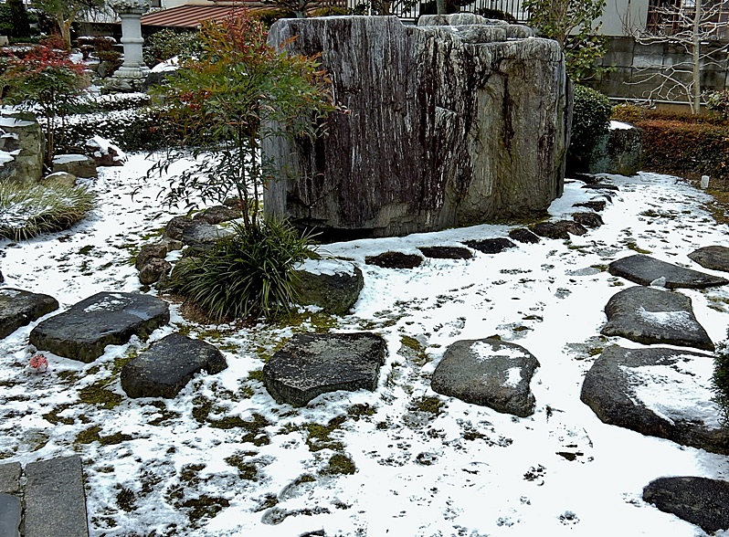 庭の雪5.JPG