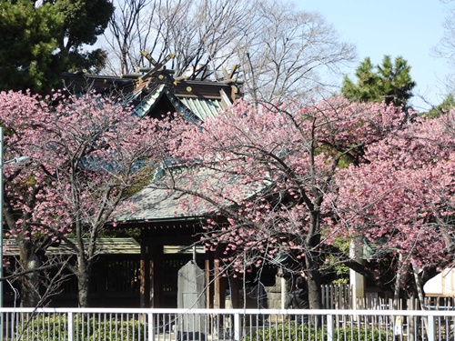 荏原神社にて